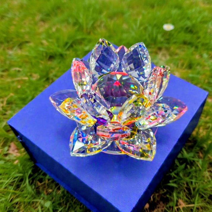 Flor de Loto Multicolor Pequeña