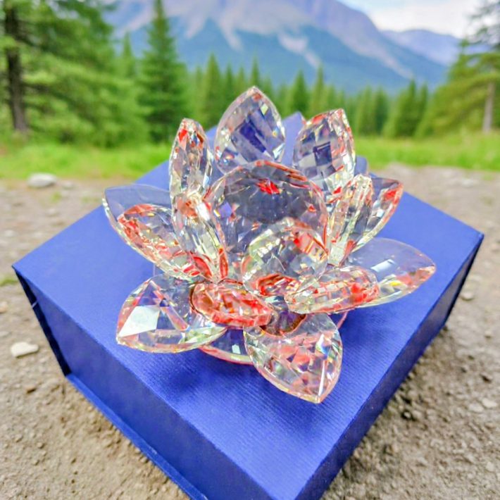 Flor de Loto Roja Pequeña