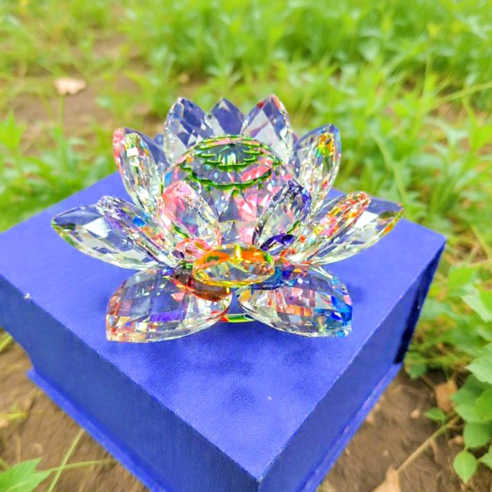 Flor de Loto Multicolor Grande